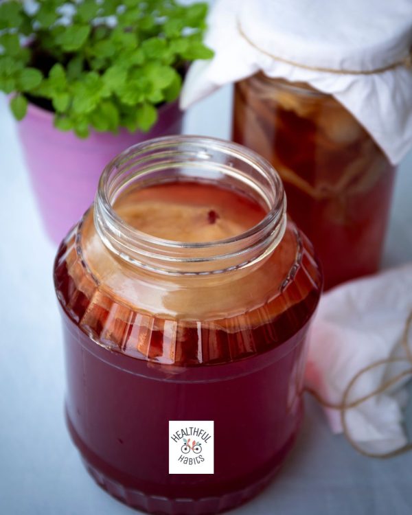 Kombucha Kit