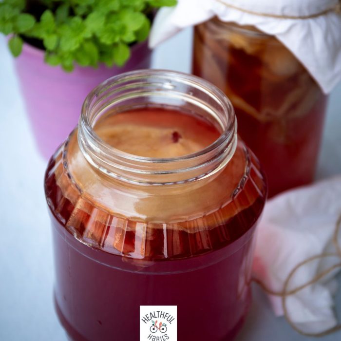 Kombucha Kit